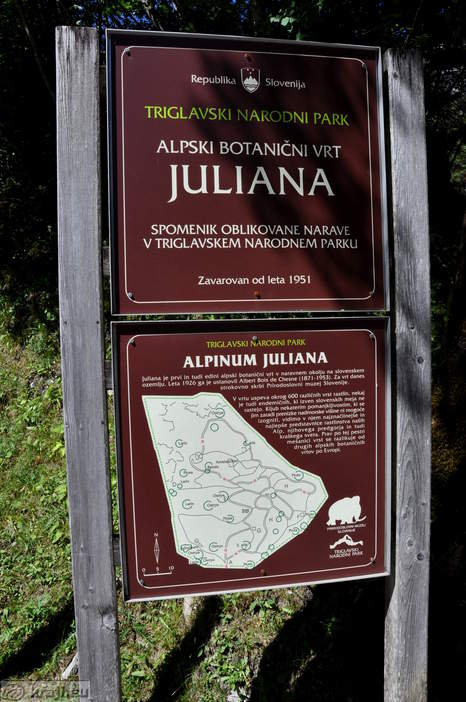 Julijana