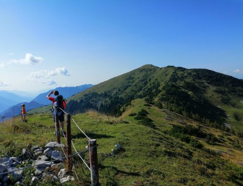 Ob 10. obletnici muzeja: Neverjetne gore