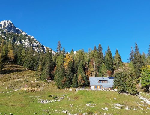 Počitniški tabor v Koči pri izviru Završnice, 3. – 7. 7. 2023
