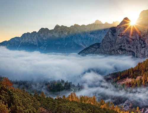 Prelep gorski svet, občasna razstava