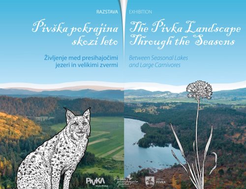 Pivška pokrajina skozi leto – življenje med presihajočimi jezeri in velikimi zvermi, odprtje razstave, 31. 1. 2025 ob 18. uri